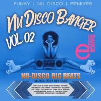 Сборник песен Nu Disco Banger Vol.02 (2021) MP3