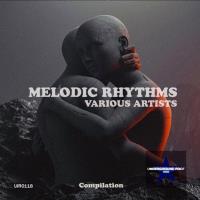 Сборник песен Melodic Rhythms (2023) MP3