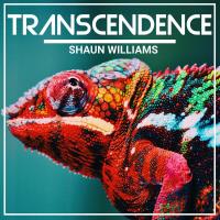 Сборник песен Shaun Williams - Transcendence (2023) MP3