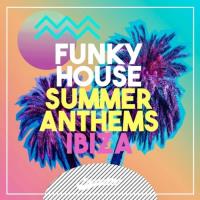 Сборник песен Funky House Summer Anthems (2023) MP3