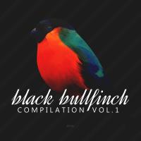 Сборник песен Black Bullfinch Compilation Vol 1 (2023) MP3