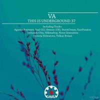Сборник песен This Is Underground 37 (2023) MP3