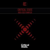 Сборник песен Critical State Ibiza 2023 Sampler (2023) MP3