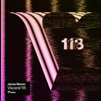 Сборник песен Visceral 118 (2023) MP3