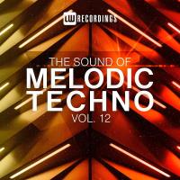 Сборник песен The Sound Of Melodic Techno Vol 12 (2023) MP3