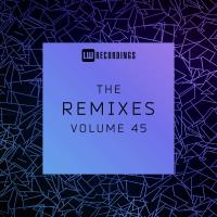 Сборник песен The Remixes Vol 45 (2023) MP3