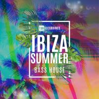 Сборник песен Ibiza Summer Bass House (2023) MP3