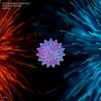 Сборник песен After Hours Essentials Melodic Techno SHONA (2023) MP3
