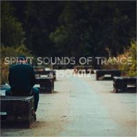 Сборник песен Spirit Sounds Of Trance #012 (Mixed by SounEmot) (2023)