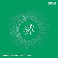 Сборник песен Redux Selection, Vol. 9 / 2023 (2023) MP3