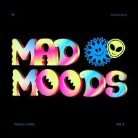 Сборник песен Mad Moods Vol. 3 (2023) MP3