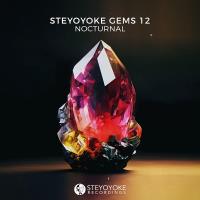 Сборник песен Steyoyoke Gems Nocturnal 12 (2023) MP3