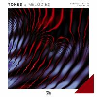 Сборник песен Tones & Melodies Vol 22 (2023) MP3