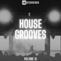 Сборник песен House Grooves, Vol. 16 (2023) MP3