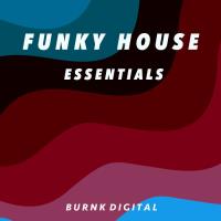 Сборник песен Funky House Essentials 7 (2023) MP3