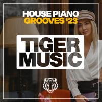 Сборник песен House Piano Grooves 2023 (2023) MP3