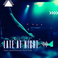 Сборник песен Late at Night Deep Underground Selection (2023) MP3