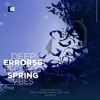 Сборник песен Deep Error56 Records Spring Vibes Vol2 (2023) MP3