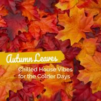 Сборник песен Autumn Leaves: Chilled House Vibes for the Colder Days (