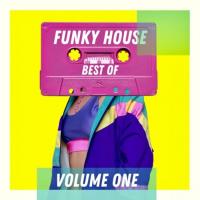 Сборник песен Best of Funky House - Volume One (2023) MP3