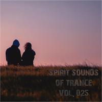 Сборник песен Spirit Sounds Of Trance Vol 25 (Extended Mixes) (2023) M