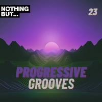 Сборник песен Nothing But... Progressive Grooves Vol 23 (2024) MP3