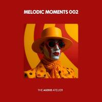 Сборник песен Melodic Moments 002 (2024) MP3