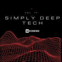 Сборник песен Simply Deep Tech, Vol. 17 (2024) MP3