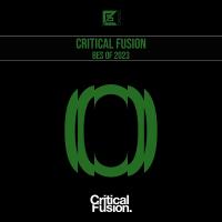 Сборник песен Best Of Critical Fusion 2023 (2024) MP3