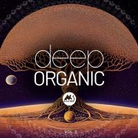 Сборник песен Deep Organic Vol 3 (2024) MP3