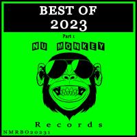 Сборник песен Best Of Nu Monkey Records 2023 Pt 1 (2023) MP3