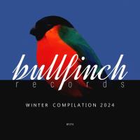 Сборник песен Bullfinch Winter 2024 Compilation (2024) MP3