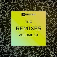 Сборник песен The Remixes Vol 51 (2024) MP3