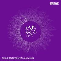 Сборник песен Redux Selection Vol 2 / 2024 (2024) MP3