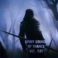 Сборник песен Spirit Sounds Of Trance Vol 29 (Extended Mixes) (2024) M