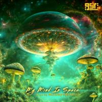 Сборник песен My Mind In Space (Mixed by metempsychosis) (2024) MP3