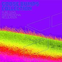 Сборник песен Goose Bumps Collection Vol 11 (2024) MP3