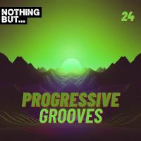 Сборник песен Nothing But... Progressive Grooves Vol 24 (2024) MP3