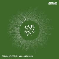 Сборник песен Redux Selection Vol 3 / 2024 MP3