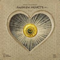 Сборник песен Awaken Hearts Vol 1 (2024) MP3