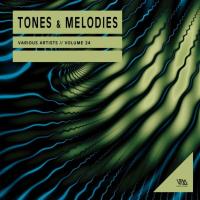 Сборник песен Tones & Melodies Vol 24 (2024) MP3