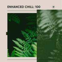 Сборник песен Enhanced Chill 100 (2024) MP3