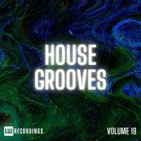 Сборник песен House Grooves, Vol. 19 (2024) MP3