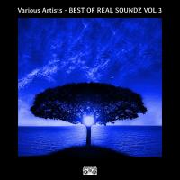 Сборник песен BEST OF REAL SOUNDZ VOL 3 (2024) MP3