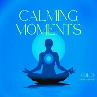 Сборник песен Calming Moments, Vol. 3 (2024) MP3