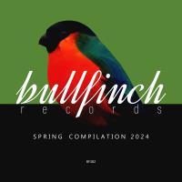 Сборник песен Bullfinch Spring 2024 Compilation (2024) MP3