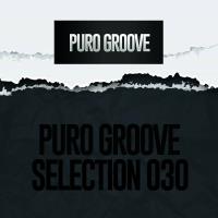 Сборник песен Puro Groove Selection 030 (2024) MP3