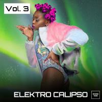 Сборник песен Elektro Calipso, Vol 3 (2024) MP3