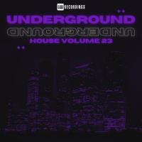 Сборник песен Underground House, Vol 23 (2024) MP3