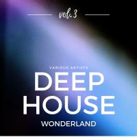 Сборник песен Deep-House Wonderland, Vol 3 (2024) MP3